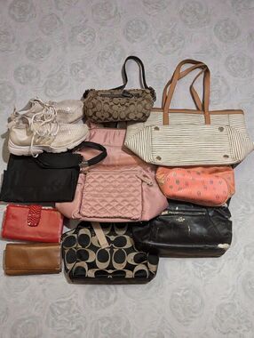 DAMAGED-Designer Bag & Accessory Lot – Coach, Fossil, Dooney & Bourke, Nike Shoe